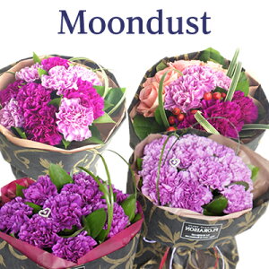 母の日 花束 カーネーション 生花の人気商品 通販 価格比較 価格 Com