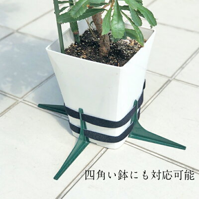 楽天市場 強風でも大丈夫 鉢転倒ストッパーｓ 植木鉢 転倒防止 送料無料 植木鉢を倒れないように 台風対策 小鉢用 5号 8号鉢対応 暴風対策 鉢 スタンド 植木鉢 花 雑貨フロレゾン