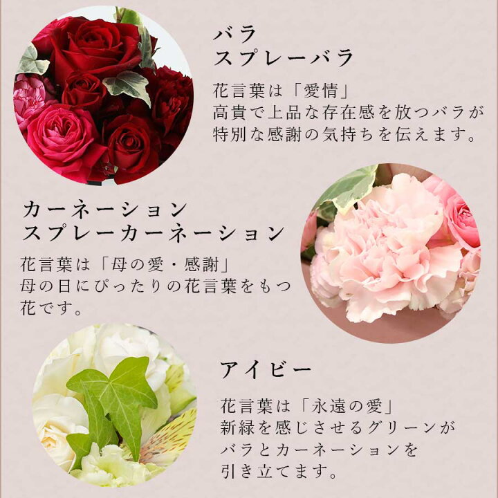 楽天市場 遅れてごめんね 母の日 アレンジメント バラ アレンジメント ローズ ルージュ ブラン バラ フラワーギフト 母の日プレゼント ギフト カーネーション 花 生花 フラワー アレンジメント おしゃれ お母さん 花 雑貨フロレゾン
