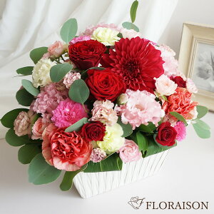 2FIׂ _A o AWg  ԃMtg a j LO  v[g  v[g җj   j JXj t[AWg 