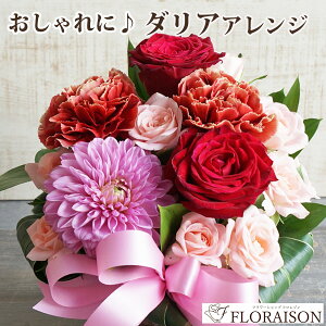 _A o L[g AWg _A  AWg a  v[g LO vw̓  JXj _A o   Mtg   ޏ  