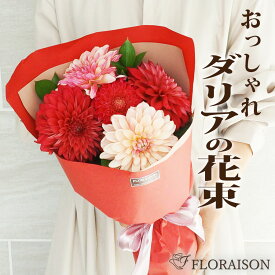 冷蔵便でお届け【やっぱり!ダリアはステキ♪】ダリア ロング 花束 お祝い プレゼント 誕生日 ギフト 花 お祝い 女性がうれしい ダリア花束 ブーケ フラワー ギフト 誕生日 結婚記念日 クリスマス いい夫婦の日 送別会 花 送料無料 プレゼント 花 生花