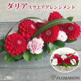 ＼ポイント3倍／ダリア スクエアアレンジメント 【 誕生日 結婚記念日 プレゼント 女性 バラ 薔薇 華やか ギフト おしゃれ フラワーアレンジメント 花 送料無料 そのまま飾れる 花 ギフト 生花 】