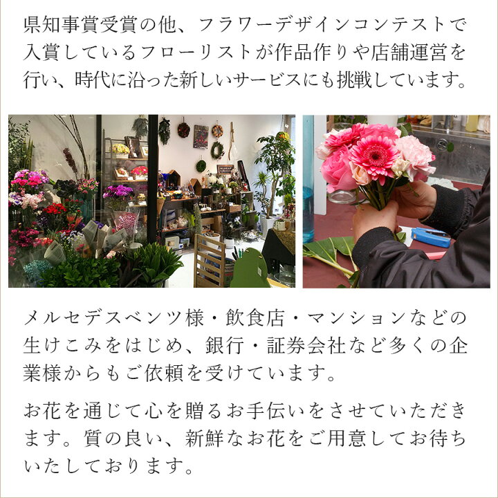 送料無料 新品 開店祝い 開業祝い 花 アレンジ スペシャル 東京市場コンテスト特別賞フローリストが贈る