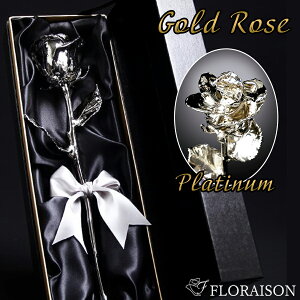 y i̋P v`i[Y z v|[Y uC_  oYj vU[uht[ Mtg o 1 1{ 24 v`i Mtg ԑ u[P j LO e  