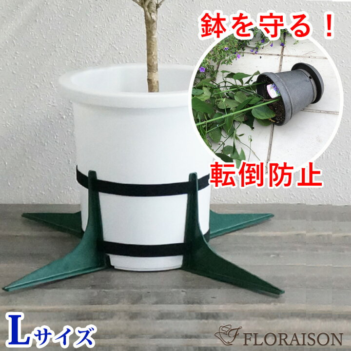 楽天市場 鉢転倒ストッパーｌ 植木鉢を倒れないように 台風対策 大鉢用 9号 12号鉢対応 暴風対策 鉢 転倒防止 送料無料 花 雑貨フロレゾン