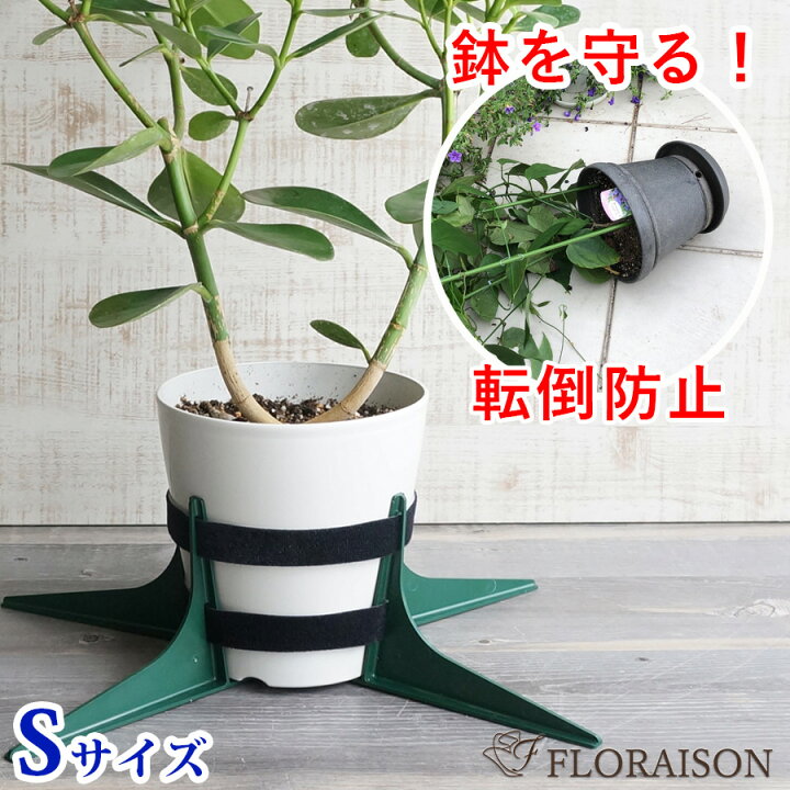 楽天市場 11 Offクーポン有 8 1 強風でも大丈夫 鉢転倒ストッパーs 植木鉢 転倒防止 送料無料 植木鉢を倒れないように 台風対策 小鉢用 5号 8号鉢対応 暴風対策 鉢 スタンド 植木鉢 花 雑貨フロレゾン 楽天市場 11 Offクーポン有 8 1 強風でも大丈夫 鉢転倒ストッパーs 植木鉢 転倒防止 送料無料 植木鉢を倒れないように 台風対策 小鉢用 5号 8号鉢対応 暴風対策 鉢 スタンド 植木鉢 花 雑貨フロレゾン
