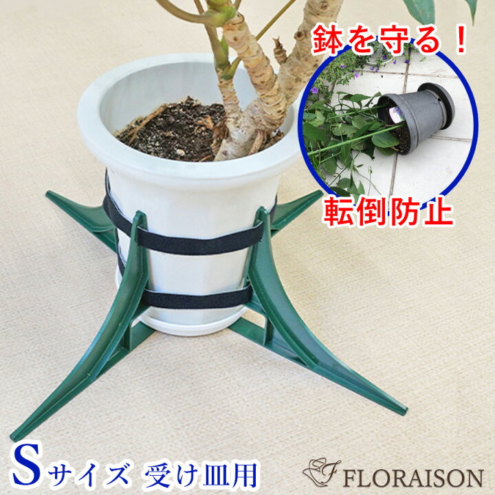 楽天市場 強風でも大丈夫 鉢転倒ストッパーｓ受け皿付き用 植木鉢 転倒防止 送料無料 植木鉢を倒れないように 台風対策 小鉢用 5号 8号鉢対応 暴風対策 鉢 スタンド 植木鉢 花 雑貨フロレゾン