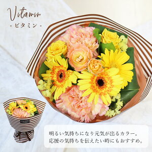 yΊ͂z4FI nslX u[P uE XgCv ԑ av[g  LO ʉ sAm\ vw̓ NX}X  ̂܂܏ԑ X^f