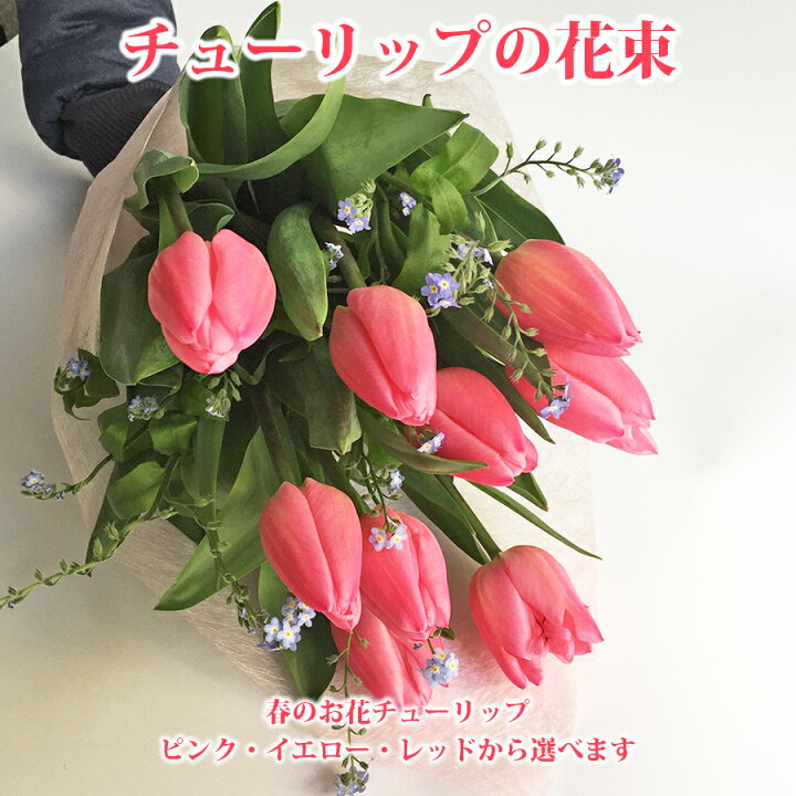 楽天市場 卒業式 花束 3色から選ぶ チューリップ花束 誕生日 卒業式 送別会 結婚記念日 花束 チューリップ花束 ちゅーりっぷ 赤 ピンク イエロー ブーケ 花束 送料無料 入学のお祝い 女性 彼女 花 雑貨フロレゾン