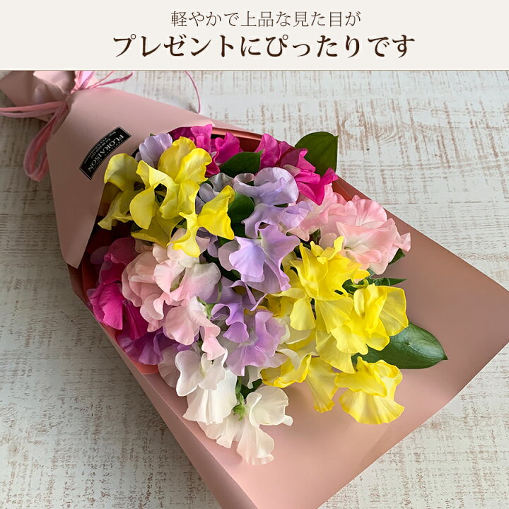 楽天市場 スイートピー花束 本 誕生日 プレゼント 卒業式 送別会 花束 スイートピー 花束 スイトピー ブーケ 花束 スイトピー 送料無料 合格祝い 女性 彼女 花 雑貨フロレゾン