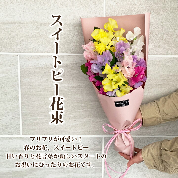 楽天市場 スイートピー花束 本 誕生日 プレゼント 卒業式 送別会 花束 スイートピー 花束 スイトピー ブーケ 花束 スイトピー 送料無料 合格祝い 女性 彼女 花 雑貨フロレゾン