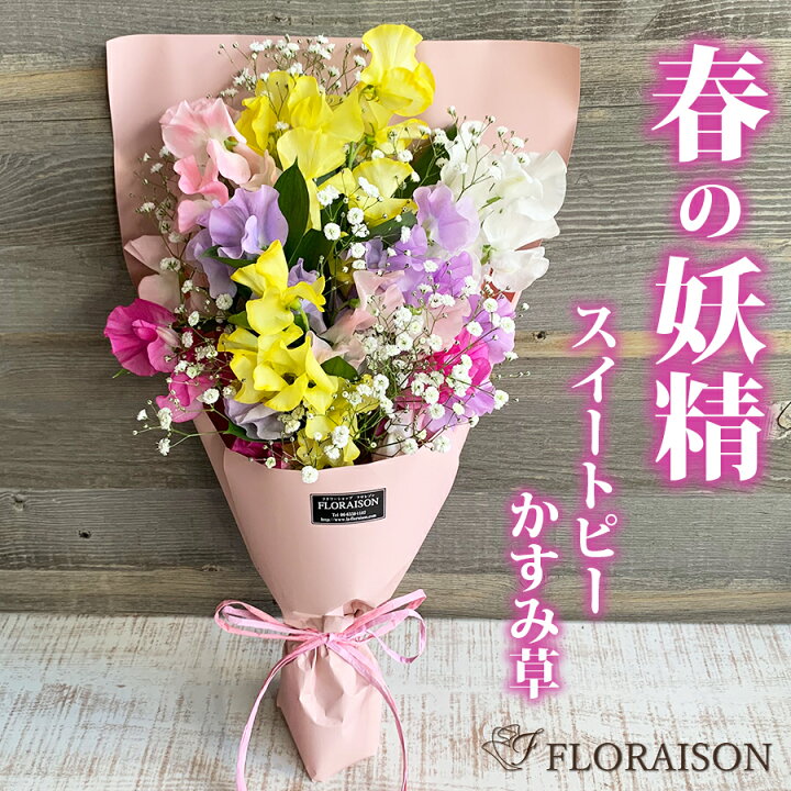 楽天市場 春限定 スイートピー 本 かすみそうの花束 卒業式 花束 送別会 合格祝い 誕生日プレゼント スイトピー 花束 スイートピー花束 カスミソウ ブーケ 花束 生花 送料無料 誕生日 入学のお祝い 送別会 女性 彼女 かすみ草 花 雑貨フロレゾン