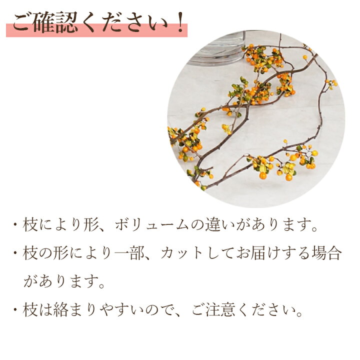 楽天市場】ツルウメモドキ つるうめもどき 生花 切花 インテリア 枝 自宅 飾る リース 送料無料 秋の実もの : 花&雑貨フロレゾン