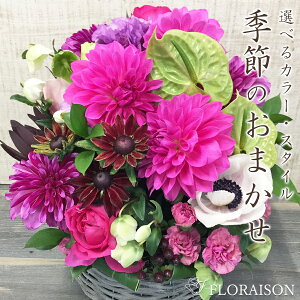 yt13܂ŁzI[_[AWg 10,000~ av[g LO NX}X t[AWg JXj W   a j LO  t