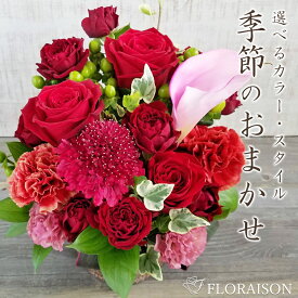 【冷蔵便】 おまかせ季節のお花 アレンジメント 5000円 誕生日プレゼント 結婚記念日 開店祝い 送別会 開店祝い 生花