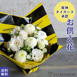 _^CK[X t@̕   ފ hV̓Q SȂ  5000~   ~ V~ l\ ~   1 O  ފ݃gL` ՃL` 