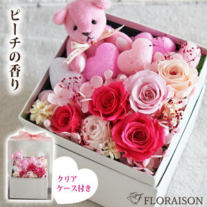 5FIׂ efBxA vU[uht[ a av[g NX}X t[ AWg  Mtg v[g t[P[L N} 킢 Mtg  ͂Ȃ 