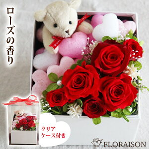 5FIׂ efBxA vU[uht[ a av[g NX}X t[ AWg  Mtg v[g t[P[L N} 킢 Mtg  ͂Ȃ 