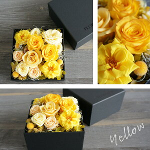 vU[uht[ {bNXt[ AWg S aMtg av[g LO  hV̓ Ǝ ʉ t[ Mtg ͂Ȃ  vU[uh vU BOX