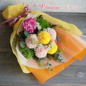 yK͂ Au[Pz ۂ`̉ s|}ԑ av[g  LO ʉ Ǝ j sAm\ җ Ê ԑ oԑ  ԑ   