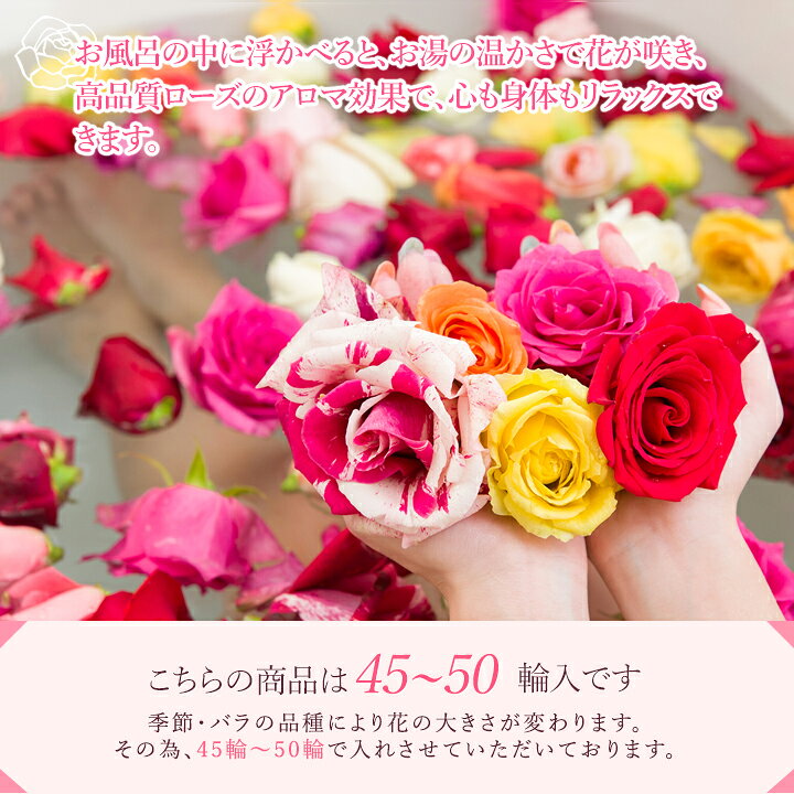 楽天市場 記念の数字を赤バラでお祝い バラ風呂 ローズバス ローズバスナンバー 結婚記念日 誕生日プレゼント 女性 還暦 古希 喜寿 米寿 記念日 才 10周年 60才 70才 才 花 生花 人気 薔薇風呂 本物のバラ 薔薇 感激ギフト 入浴剤 花 雑貨フロレゾン