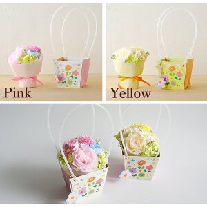 2FI \[vt[ A[gobOu[P ԃMtg a a aMtg  ͂Ȃ  ԑ v[g NX}X LO j v`Mtg  FB  