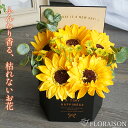 ひまわりギフト ソープフラワー シャボン ひまわり 六角 BOX S 父の日 ギフト 誕生日 枯れない 花 プレゼント 花ピアノ発表会 結婚記念日 結婚祝い プチギフト 女性 女友達 妻 彼女 父 お父さん フラワーギフト おしゃれ 花 夏 向日葵 ヒマワリ 花粉症対策 雑貨