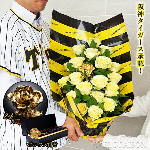 _^CK[X o S[h[Y 20{ AW _^CK[X F av[g D 2025 Mtg  a  AWg t[AWg җ Ê 20 