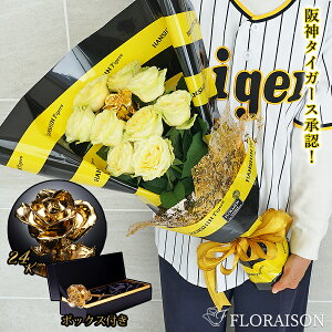 _^CK[X o S[h[Y 10{ ԑ _^CK[X ObY D F av[g ʉ Dj  ԑ 10{u[P hV̓ җ Ê 10 N jMtg _