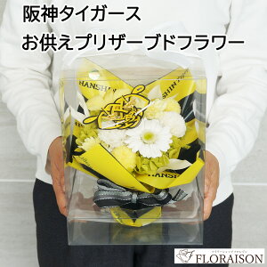  _^CK[X vU[uht[ _^CK[X   ފ AWg Mtg  ͂Ȃ vU[uht[ AWg  SȂ