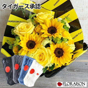 _^CK[X AWg Kbc} StCZbg 7500~ ̓ a  a v[g ʉ  _ ^CK[X ObY Kbc} StC ^CK[XF ԃMtg