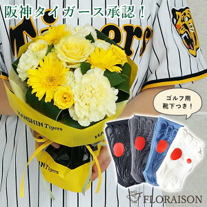 _^CK[X ԑ StpCZbg aMtg Kbc} a ʉ җ Ê v[g  ގ ՃL` gL` gq   _^CK[XF ԃMtg _^