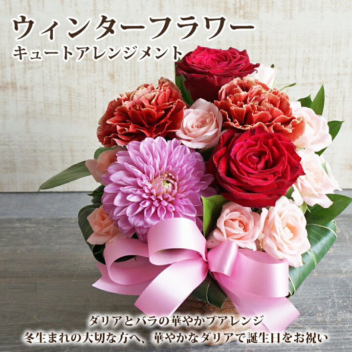 楽天市場 ダリア バラ アレンジメント ダリア おしゃれ アレンジメント 12月 誕生日 花 プレゼント 結婚記念日 ダリア バラ おしゃれ 花 ギフト 送料無料 女性 彼女 妻 花 雑貨フロレゾン 楽天市場 ダリア バラ アレンジメント ダリア おしゃれ アレンジメント 12月 誕生日 花 プレゼント 結婚記念日 ダリア バラ おしゃれ 花 ギフト 送料無料 女性 彼女 妻 花 雑貨フロレゾン