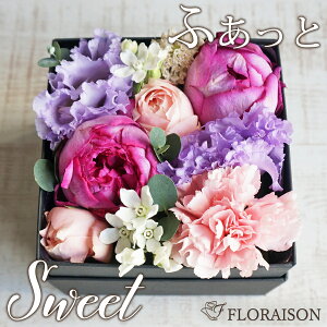 CusAb`F tOX {bNXt[ AWg S a v[g LO ʉ KN   t[ t[{bNX a LOMtg   l 