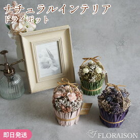 3色から選ぶ ドライフラワー ドライポット ギフト お誕生日アレンジメント 誕生日ギフト プレゼント 敬老の日 花 枯れない お花 プレゼント 結婚記念日 結婚祝い プチギフト 女性 女友達 妻 彼女 母 フラワーギフト おしゃれ 花 ギフト 雑貨