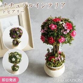 夏フラワー 枯れない 3色から選ぶ ドライフラワー トピアリーS ギフト インテリア 誕生日アレンジメント 誕生日ギフト お中元 花 枯れない お花 プレゼント 結婚記念日 結婚祝い プチギフト 女性 女友達 妻 彼女 母 フラワーギフト おしゃれ 雑貨