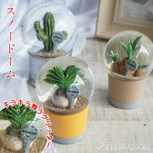 スノードーム ウォーターグローブ ミニチュア PLANTS WATER GLOBE 多肉植物 サボテン 観葉植物 置物 インテリア おしゃれ DULTON ダルトン スノーボール