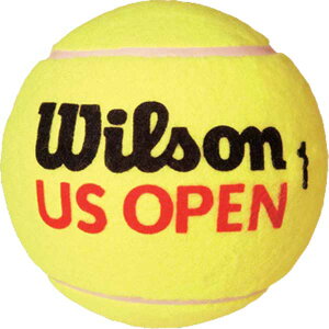 yzyǂ3ȏŊe200~z Wilson(EC\) USI[v ~j W{{[ WRT1415U yԁz