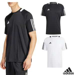 yzy2500~ψzyzadidasiAfB_XjTbJ[tbgTp MSERE3S TVc Y jZbNX @KNA79y25z