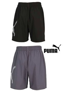 yzy3000~ψzypԒǁzpumaiv[}jTAD ESSENTIAL BIG LOGO n[tpc Y 527361y25z