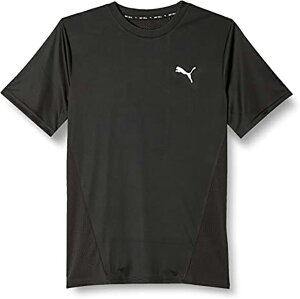 yzy2000~ψ MTCŶ݁zypԃzpumaiv[}jdryCELL  TVc Y jZbNX TRAIN ALL DAY SS TVc@v[}ubN@522990-01-My23z