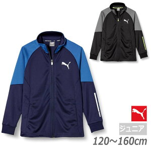 yzy3500~ψzypԁzpuma(v[}) LbYEWjA ACTIVE SPORTS g[jO WPbg DRYCELL z   tWbv S2F 671898y23z