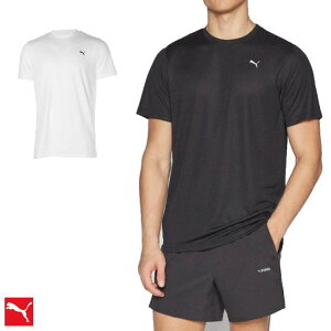 yzy2500~ψzypԒǁzpuma(v[}) Y jZbNX eB[Vc z @\eB[Vc STANDARD SS TVc @v[}ubN zCg@525181y25zyԁz