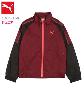 yzy130`160LbYEWjAzypԁzpumaiv[}jLbY K[Y WjA PUMA MOTIONE[uEgRbgEChWPbg LbY WjA ͂ EBhu[J[