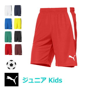 yzy2500~ψzpumaiv[}jz Y{ n[tpc LbY WjA TbJ[ TEAMLIGA Q[pc JR 705145yԁz