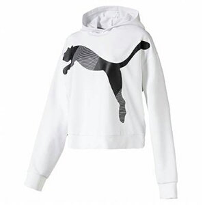 yzy4000~ψzypԃzpumaiv[}jMODERN SPORTS t[fB  p[J[ g[i[ DRYCELL@ fB[XEEBY@v[}zCg@581034-02y20z