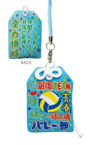 バレーボール キーホルダーの人気商品 通販 価格比較 価格 Com