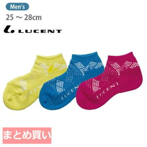 yzy2gzy3gzy܂ƂߔIzy{zLUCENT([Zg)Y \bNXkx[V[glRۖhLH@ 25`28cm XLN306yԁz