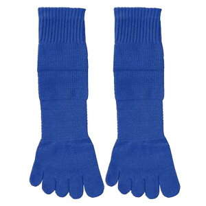 yzy1800~ψzypԁ@ǁzZETT([bg)CY5zr\bNXu[2ZbgZAS4100-2300-2SETy21z